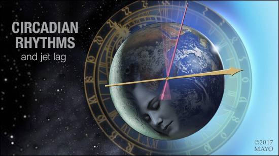 a graphic representation of circadian rhythms and jet lag