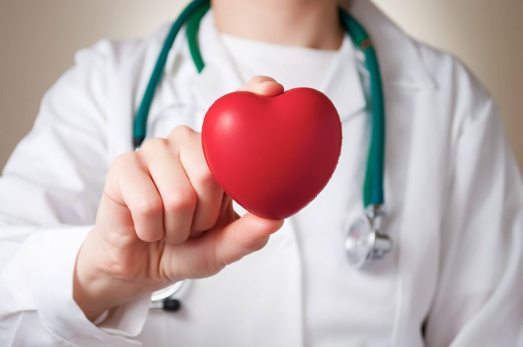 Red heart in the hand of a physician